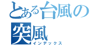 とある台風の突風（インデックス）