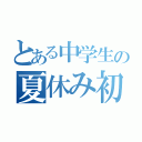 とある中学生の夏休み初日（）