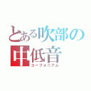 とある吹部の中低音（ユーフォニアム）