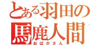 とある羽田の馬鹿人間（おばかさん）