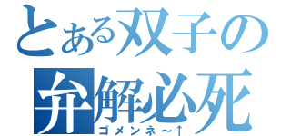 とある双子の弁解必死（ゴメンネ～↑）