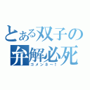 とある双子の弁解必死（ゴメンネ～↑）