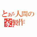 とある人間の家製作（仮）