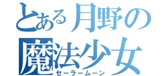 とある月野の魔法少女（セーラームーン）