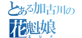 とある加古川の花魁娘（エレナ）