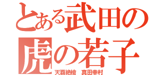 とある武田の虎の若子（天覇絶槍 真田幸村）