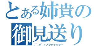 とある姉貴の御見送り（（゜∀゜）ノシテラッサー）