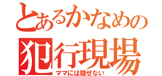 とあるかなめの犯行現場（ママには隠せない）