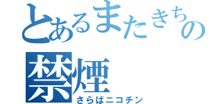 とあるまたきちの禁煙（さらばニコチン）