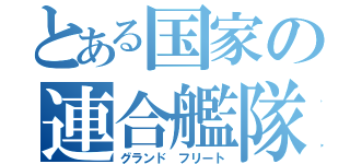 とある国家の連合艦隊（グランド　フリート）