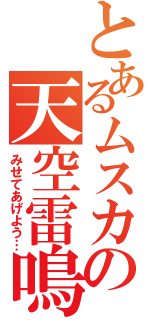 とあるムスカの天空雷鳴（みせてあげよう…）