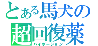 とある馬犬の超回復薬（ハイポーション）