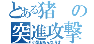 とある猪の突進攻撃（小型おもんな消せ）