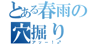 とある春雨の穴掘り（アッー！♂）