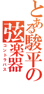 とある駿平の弦楽器（コントラバス）