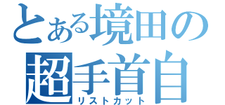 とある境田の超手首自傷症候群（リストカット）