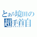 とある境田の超手首自傷症候群（リストカット）