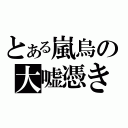 とある嵐烏の大嘘憑き（）