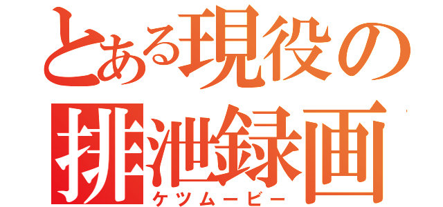 とある現役の排泄録画（ケツムービー）