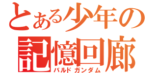 とある少年の記憶回廊（バルドガンダム）