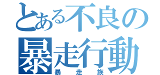 とある不良の暴走行動（暴走族）