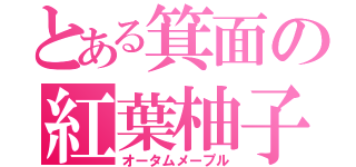 とある箕面の紅葉柚子（オータムメープル）