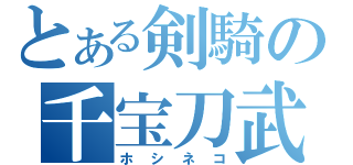 とある剣騎の千宝刀武（ホシネコ）