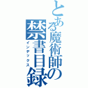 とある魔術師の禁書目録Ⅱ（インデックス）