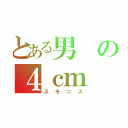 とある男の４ｃｍ（スモニス）