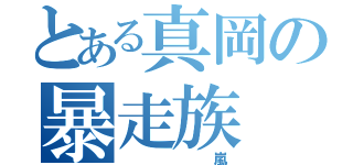 とある真岡の暴走族（       嵐）