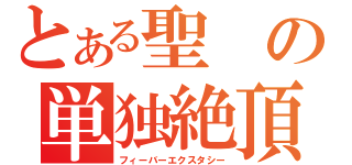 とある聖の単独絶頂（フィーバーエクスタシー）