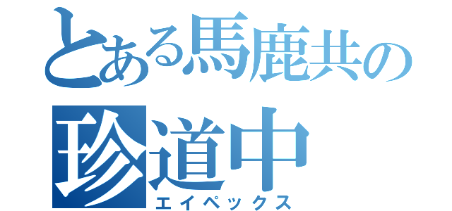 とある馬鹿共の珍道中（エイペックス）