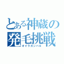 とある神蔵の発毛挑戦（オイラガンバル）