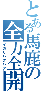 とある馬鹿の全力全開（イカリバクハツ）