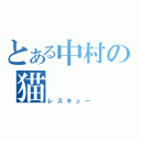 とある中村の猫（レスキュー）