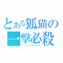 とある狐猫の一撃必殺（パニッシングストライク）