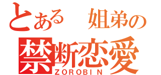 とある 姐弟の禁断恋愛（ＺＯＲＯＢＩＮ）