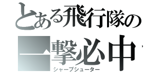 とある飛行隊の一撃必中（シャープシューター）