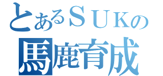 とあるＳＵＫＥＫＩＹＯの馬鹿育成計劃（）