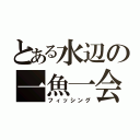 とある水辺の一魚一会（フィッシング）