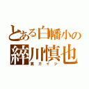 とある白幡小の綷川慎也（糞ガイジ）