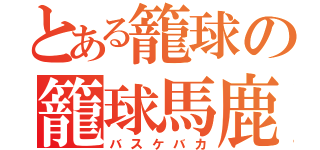 とある籠球の籠球馬鹿（バスケバカ）