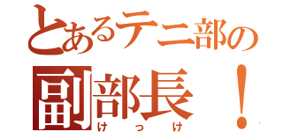 とあるテニ部の副部長！（けっけ）