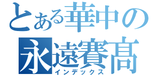 とある華中の永遠賽髙（インデックス）