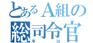 とあるＡ組の総司令官（平川）