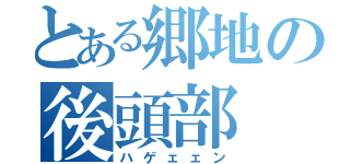 とある郷地の後頭部（ハゲェェン）