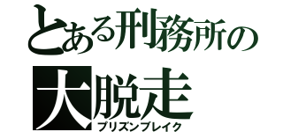 とある刑務所の大脱走（プリズンブレイク）