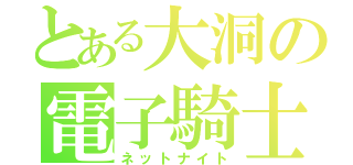 とある大洞の電子騎士（ネットナイト）