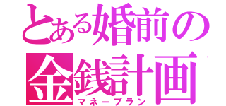 とある婚前の金銭計画（マネープラン）