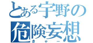 とある宇野の危険妄想（きゃー）